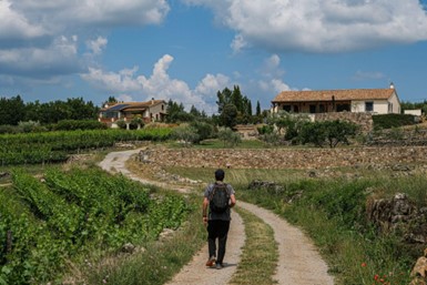 Découvrir les vins d’Ardèche